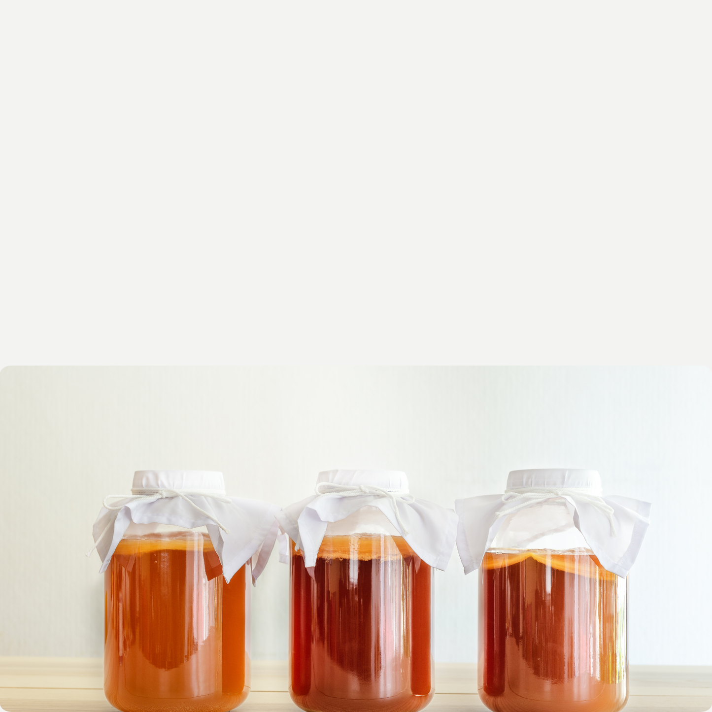 Kombucha Homebrewing Supplies