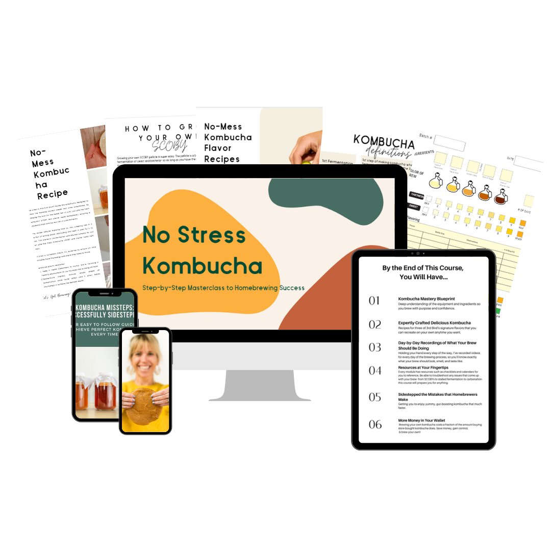 No Stress Kombucha: Step - by - Step Masterclass for Homebrewing Success - 3rd Bird Kombucha