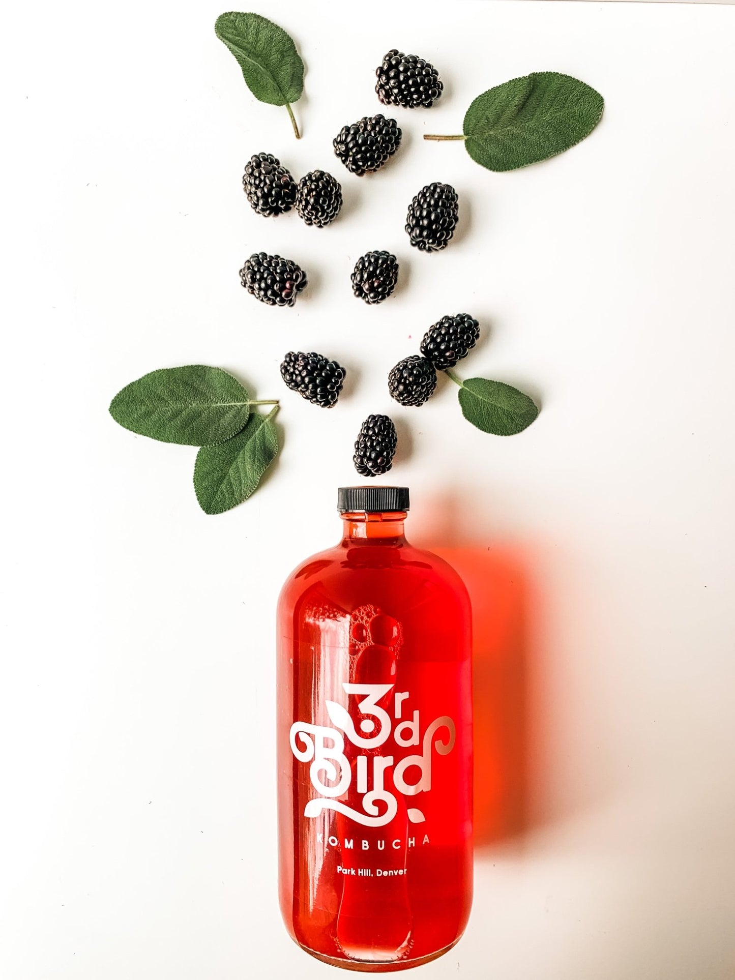 32oz Bottle of Kombucha - 3rd Bird Kombucha