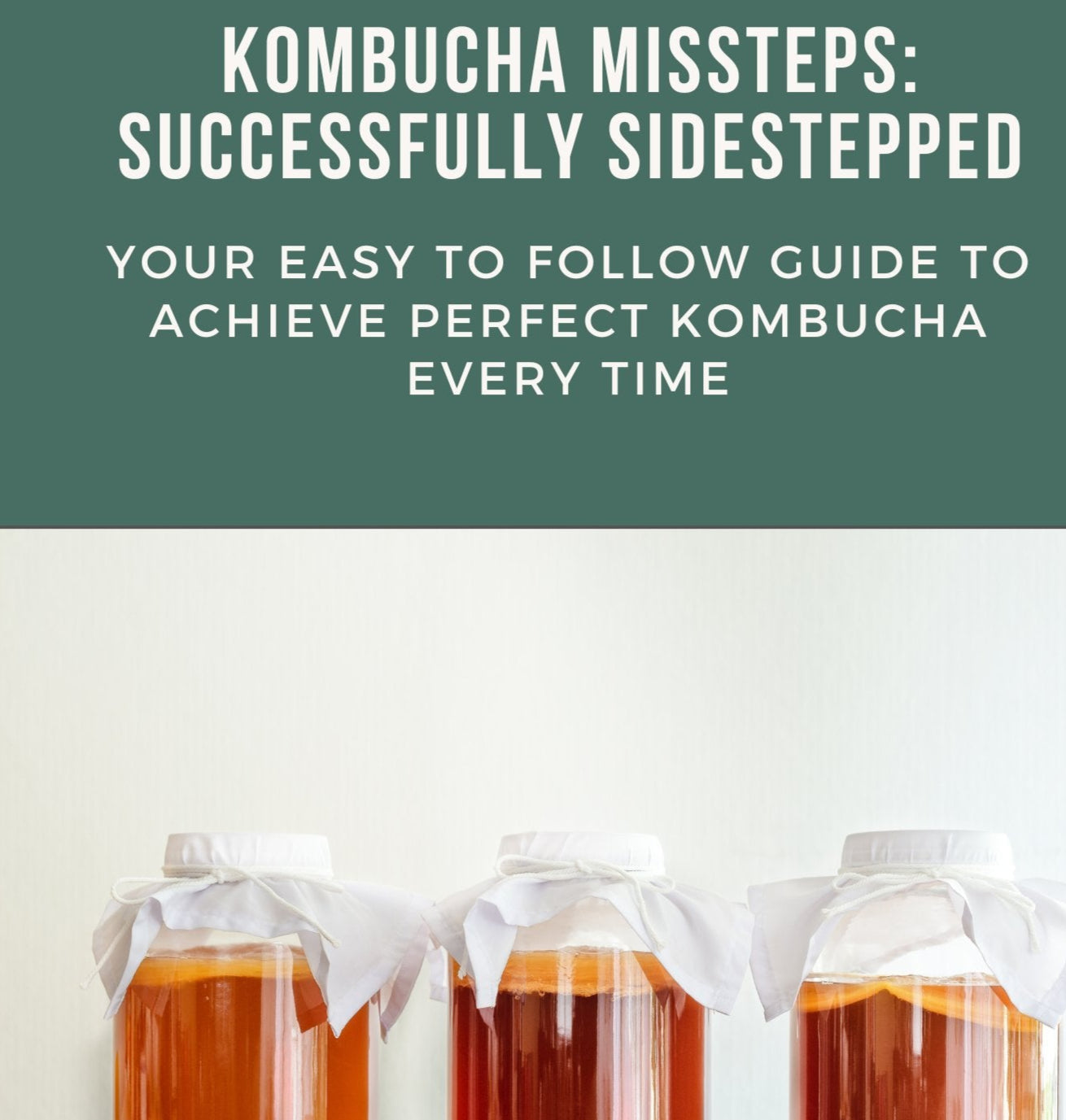 Kombucha Missteps Successfully Side Stepped - 3rd Bird Kombucha