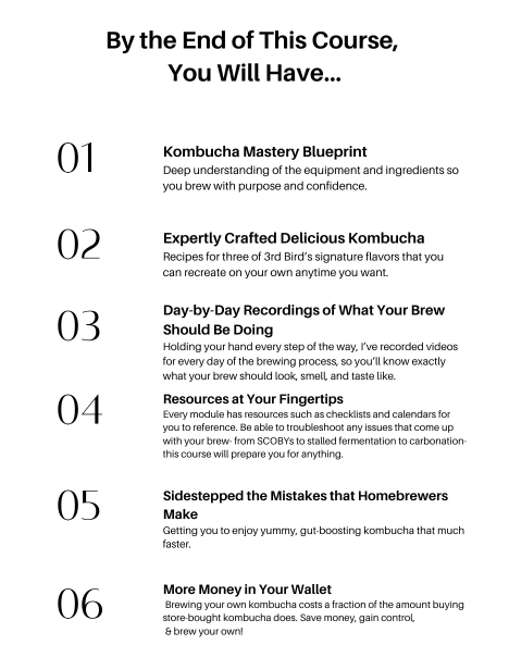 No - Mess Kombucha: A Step - by - Step Masterclass for Homebrewing Success - 3rd Bird Kombucha