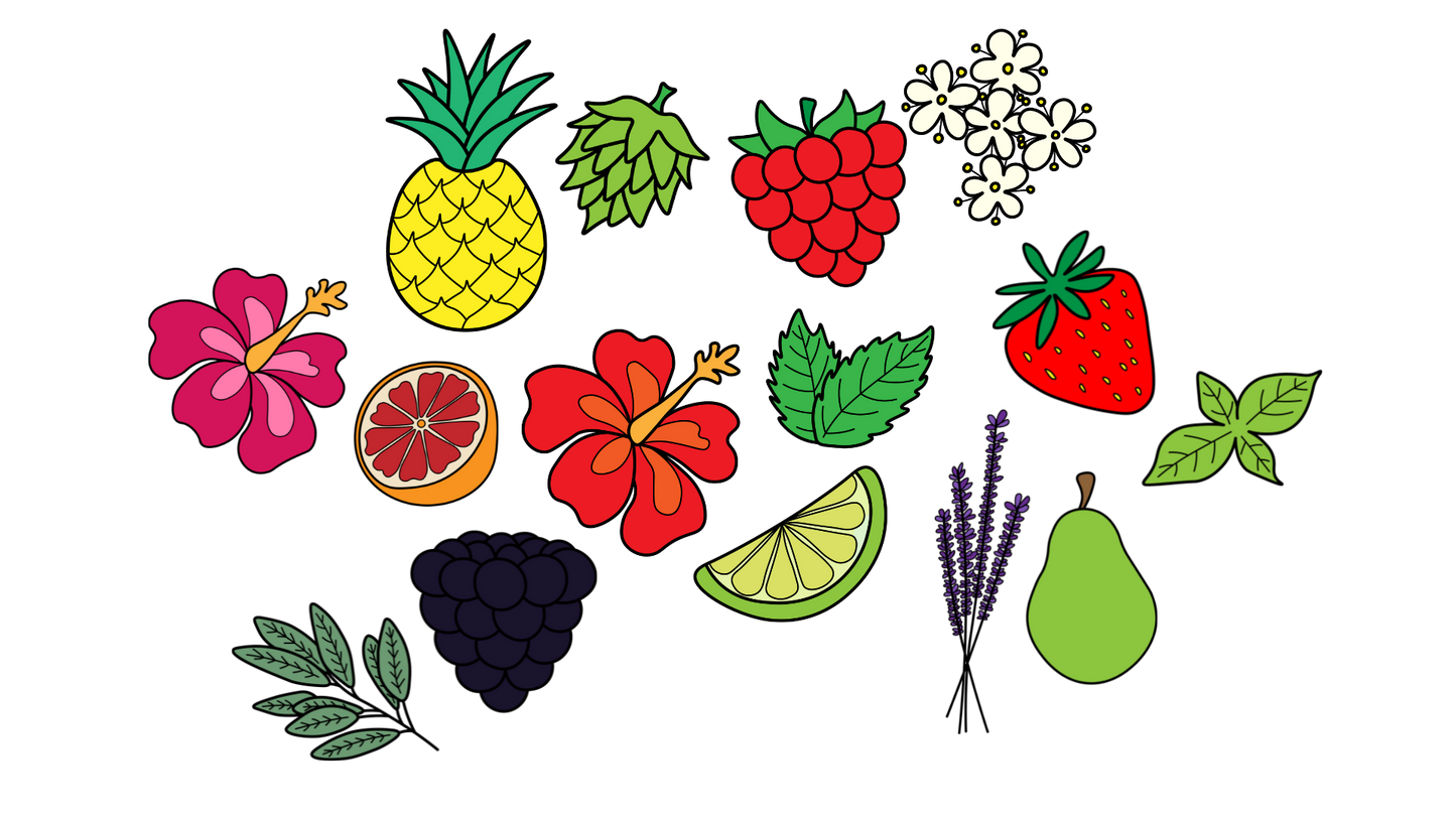 Drawing of fruit and herbs