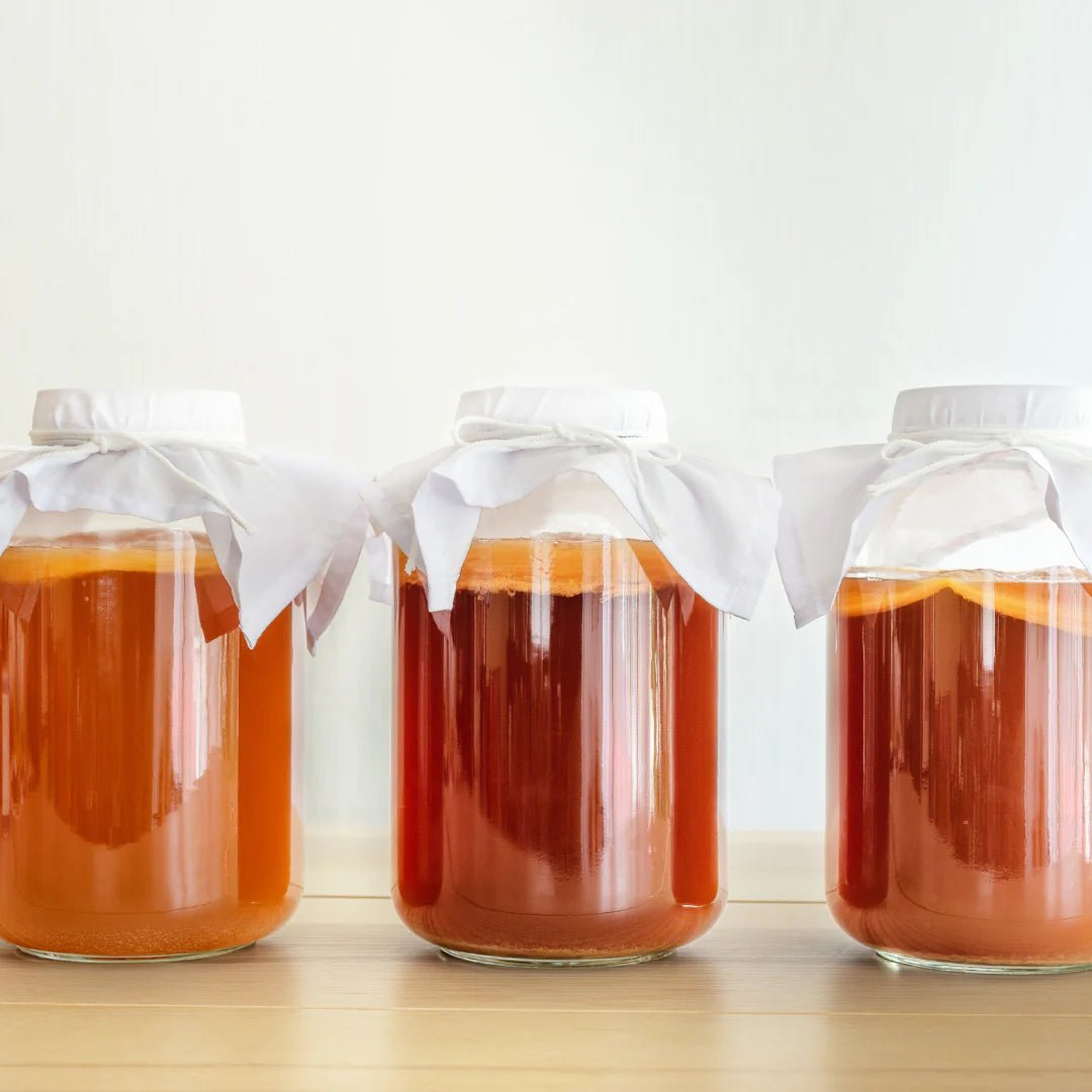 Make Your Own Kombucha Homebrewing Kit Shopping List - 3rd Bird Kombucha