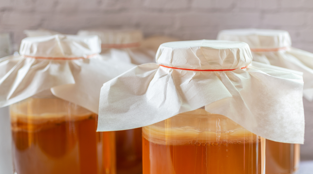 The Perfect Temperature for Brewing Kombucha (and Why It Matters)