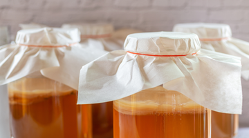 What's the Best Temperature to Brew Kombucha?
