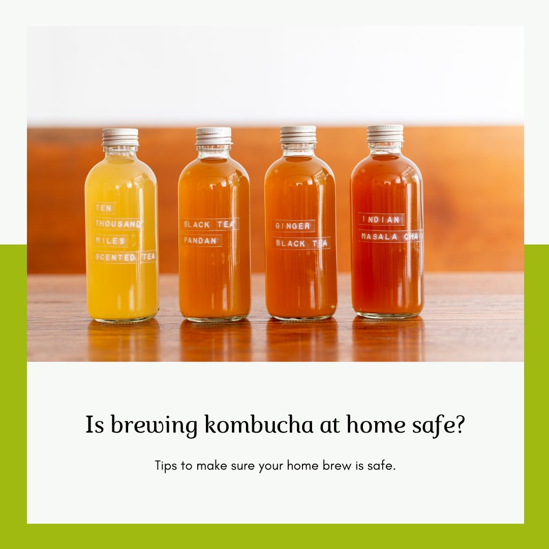 Is Kombucha Safe To Brew At Home? The Art of Brewing Kombucha - 3rd Bird Kombucha