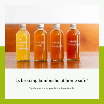 Is Kombucha Safe To Brew At Home? The Art of Brewing Kombucha - 3rd Bird Kombucha