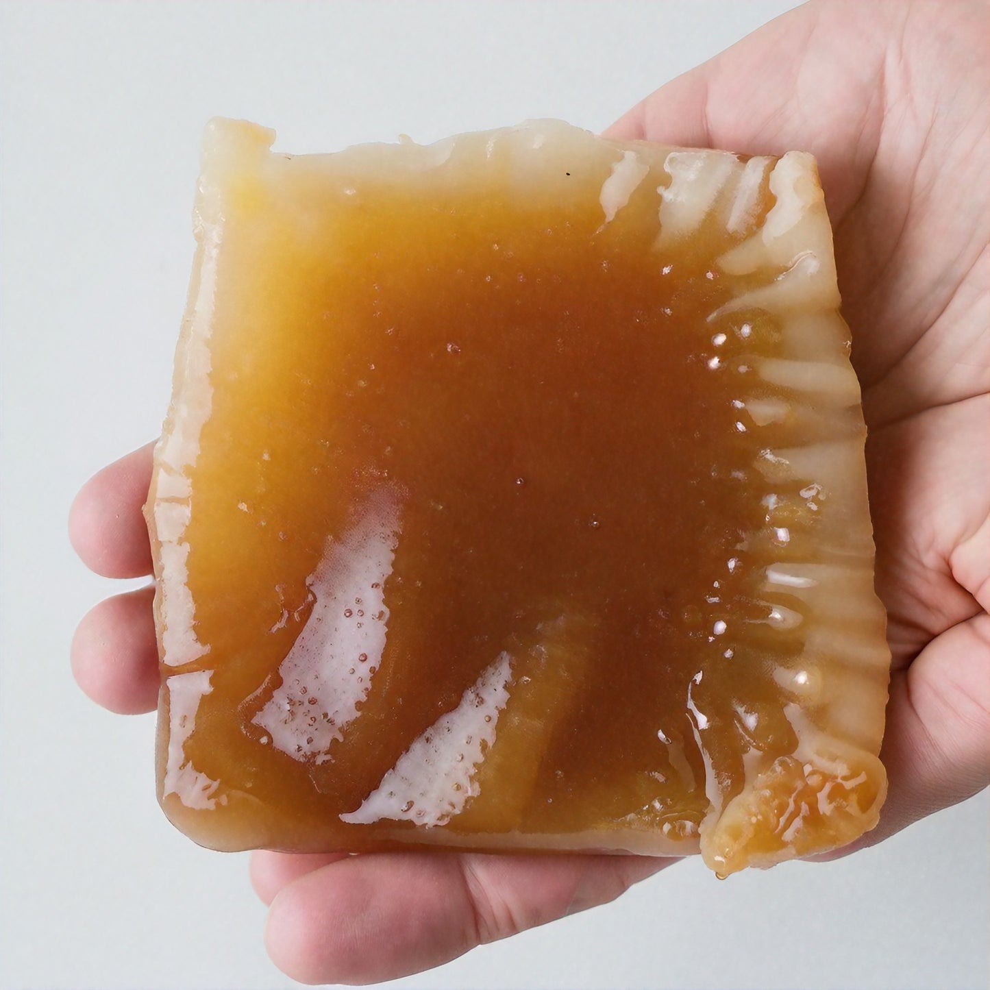 What Exactly is a SCOBY? - 3rd Bird Kombucha