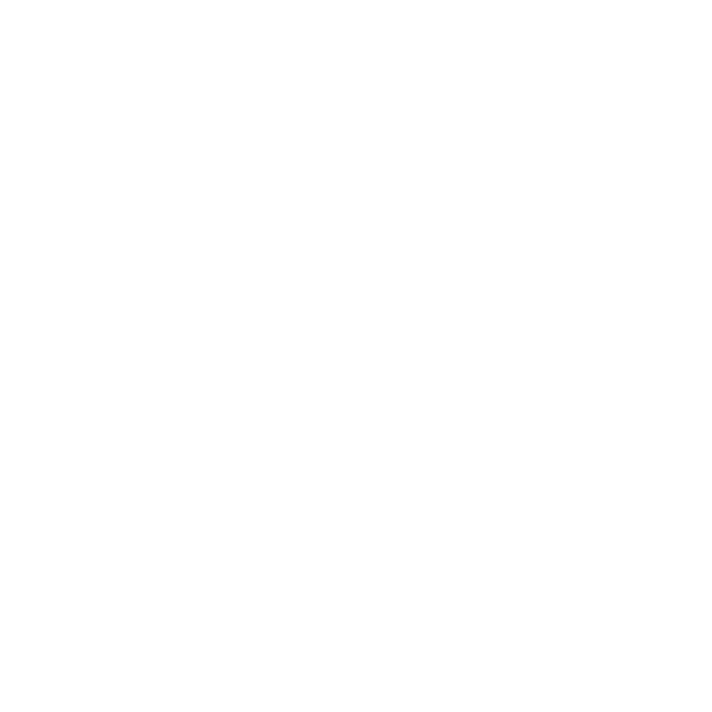 3rd Bird Kombucha Logo