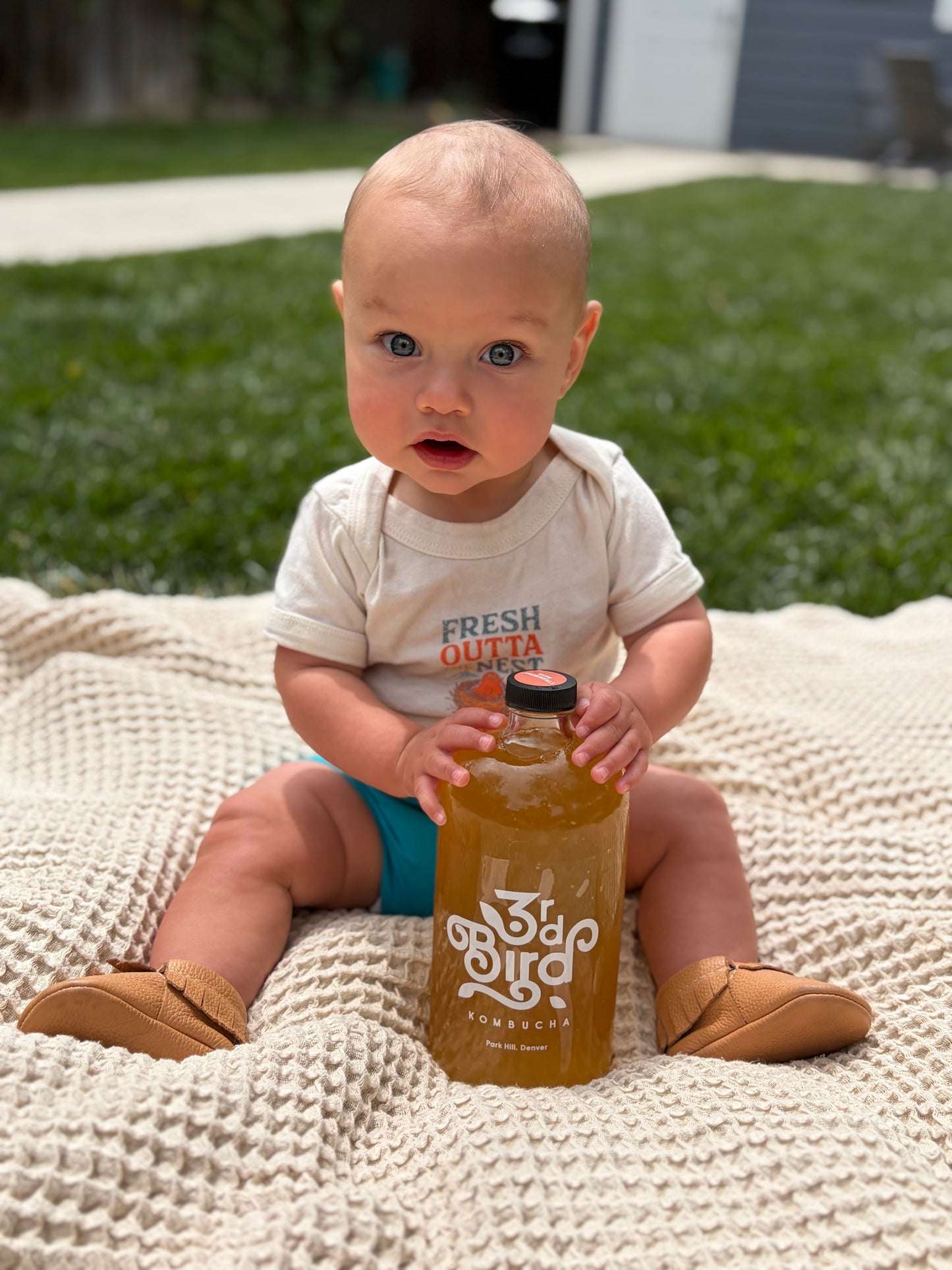 baby on blanket wearing 3rd Bird Kombucha onsie holding kombucha bottle