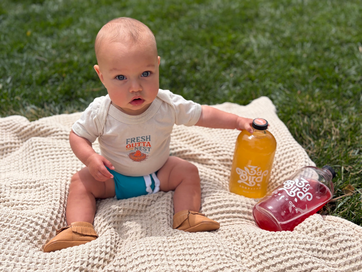 baby in white 3rd bird onsie holding kombucha bottle