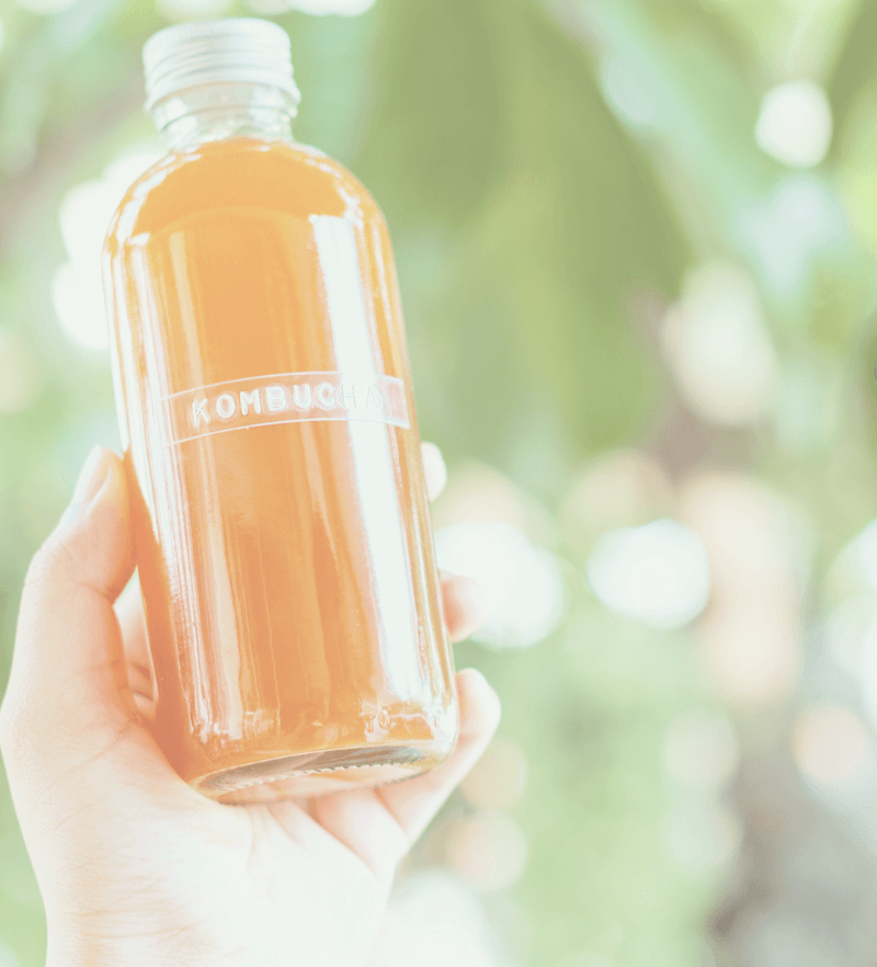 No Stress Kombucha: Step - by - Step Masterclass for Homebrewing Success - 3rd Bird Kombucha