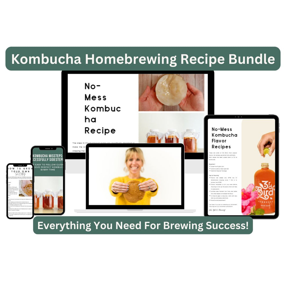 
                      
                        Fool - Proof Time - Saving Brew Kombucha at Home Recipe Bundle - 3rd Bird Kombucha
                      
                    