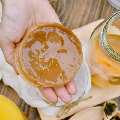 No - Stress Kombucha SCOBY - 3rd Bird Kombucha