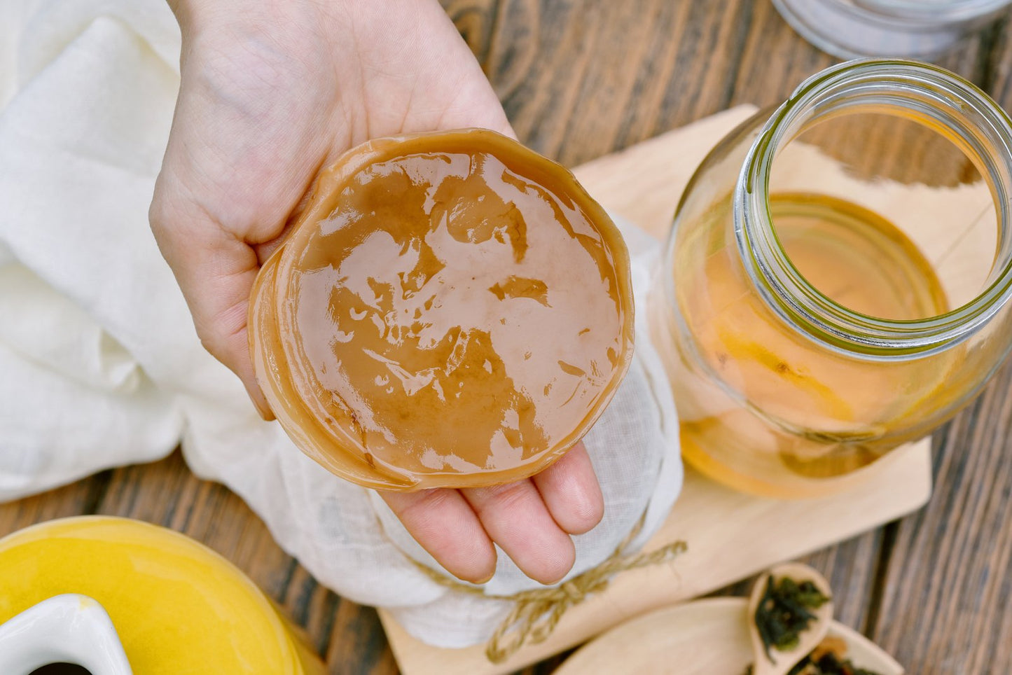 Kombucha SCOBY - 3rd Bird Kombucha