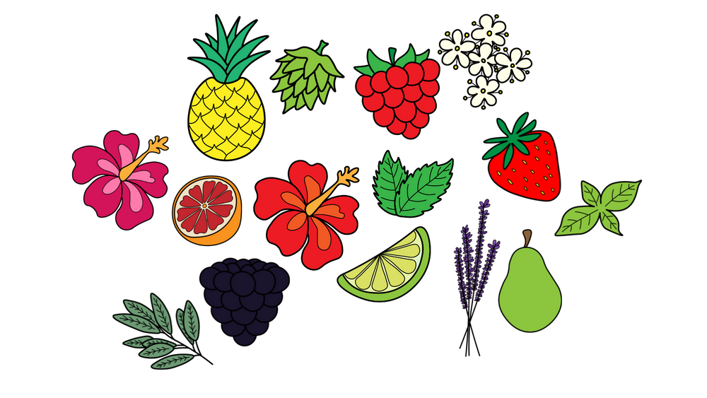 Drawing of fruit and herbs