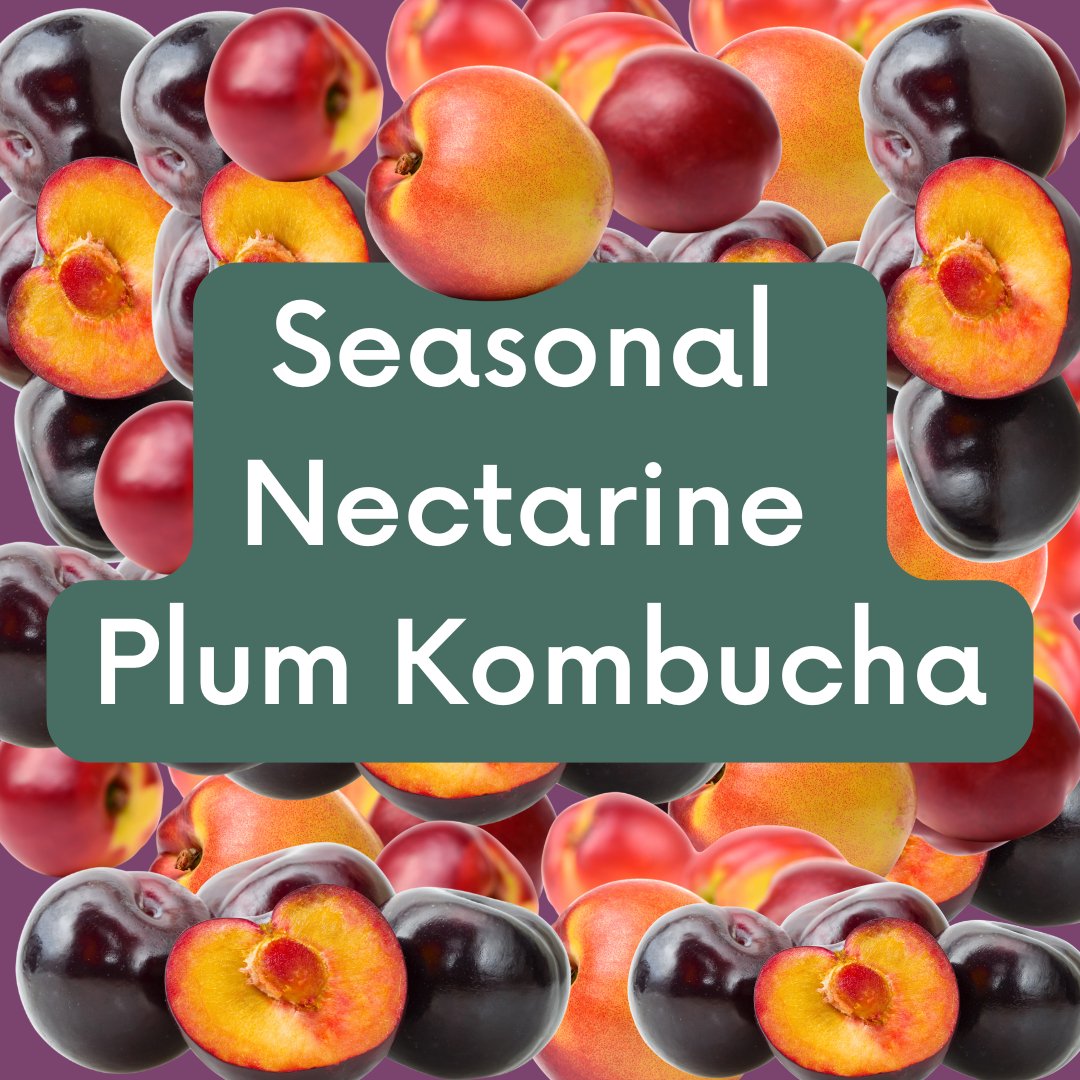 Seasonal Kombucha: Nectarine Plum - 3rd Bird Kombucha