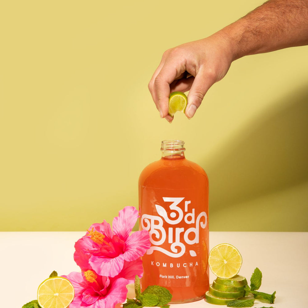 
                      
                        Hibiscus Lime Mint Kombucha - 3rd Bird Kombucha
                      
                    